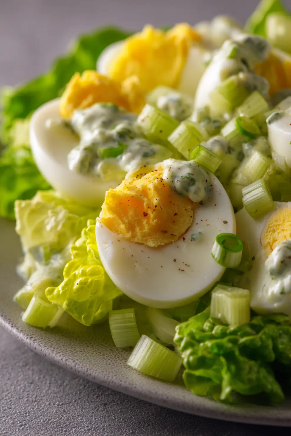 Creamy egg salad recipe served on lettuce leaves