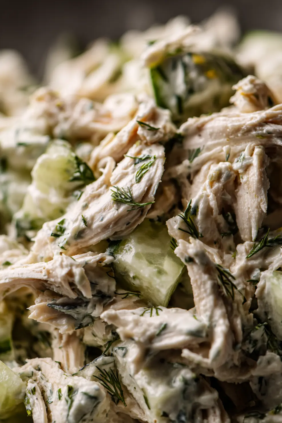 Tzatziki Chicken Salad served in a wrap with fresh vegetables